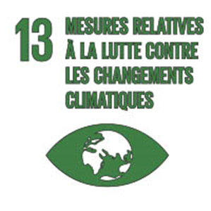 Icon - Objectif 13 : Prendre d’urgence des mesures pour lutter contre les changements climatiques et leurs répercussions 